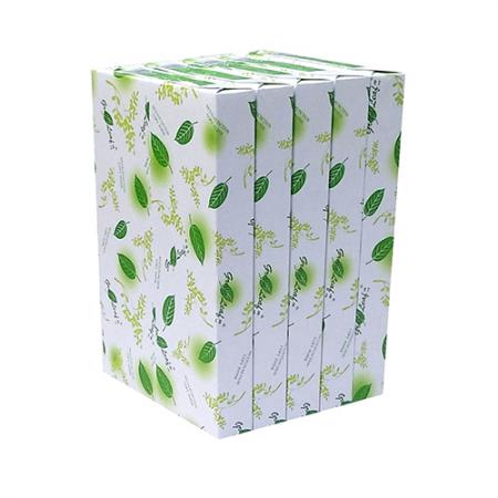 绿叶(Green Leaf) 优等品 绿色复印纸 绿色80克A4 500张/包 单价 元/包 （10包/箱）