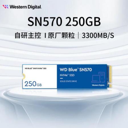 西部数据（Western Digital）SN570 250GB SSD固态硬盘...